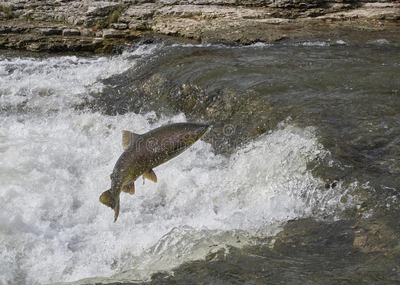 Photo of Environmental Water Quality Data: Analyzing Change Over Time