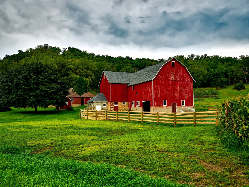 Photo of Environmental Decision-Making in Uncertain Times