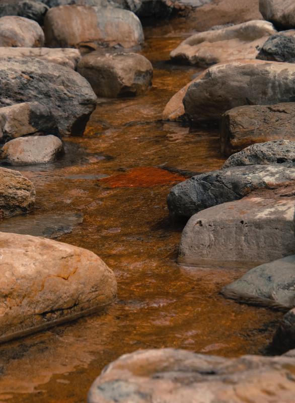 Photo of Environmental Issues Involving Water Quality Data