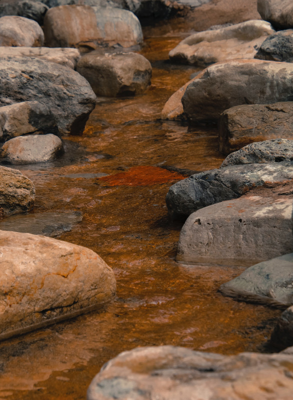 Photo of Forecasting Water Quality